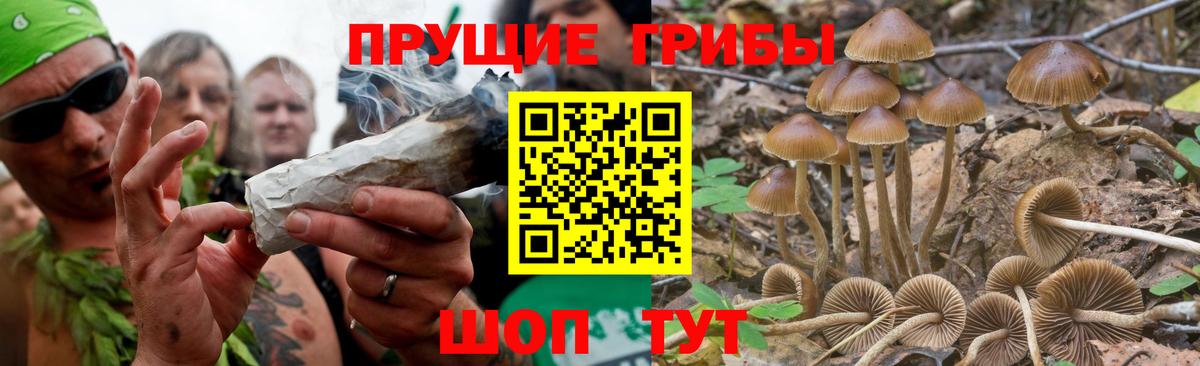 Большой Камень  Галлюциногенные грибы Magic Shrooms  Вход с VPN 